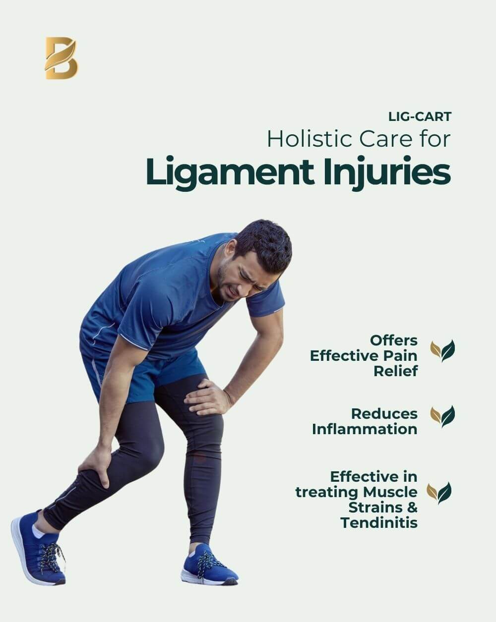 Lig-Cart