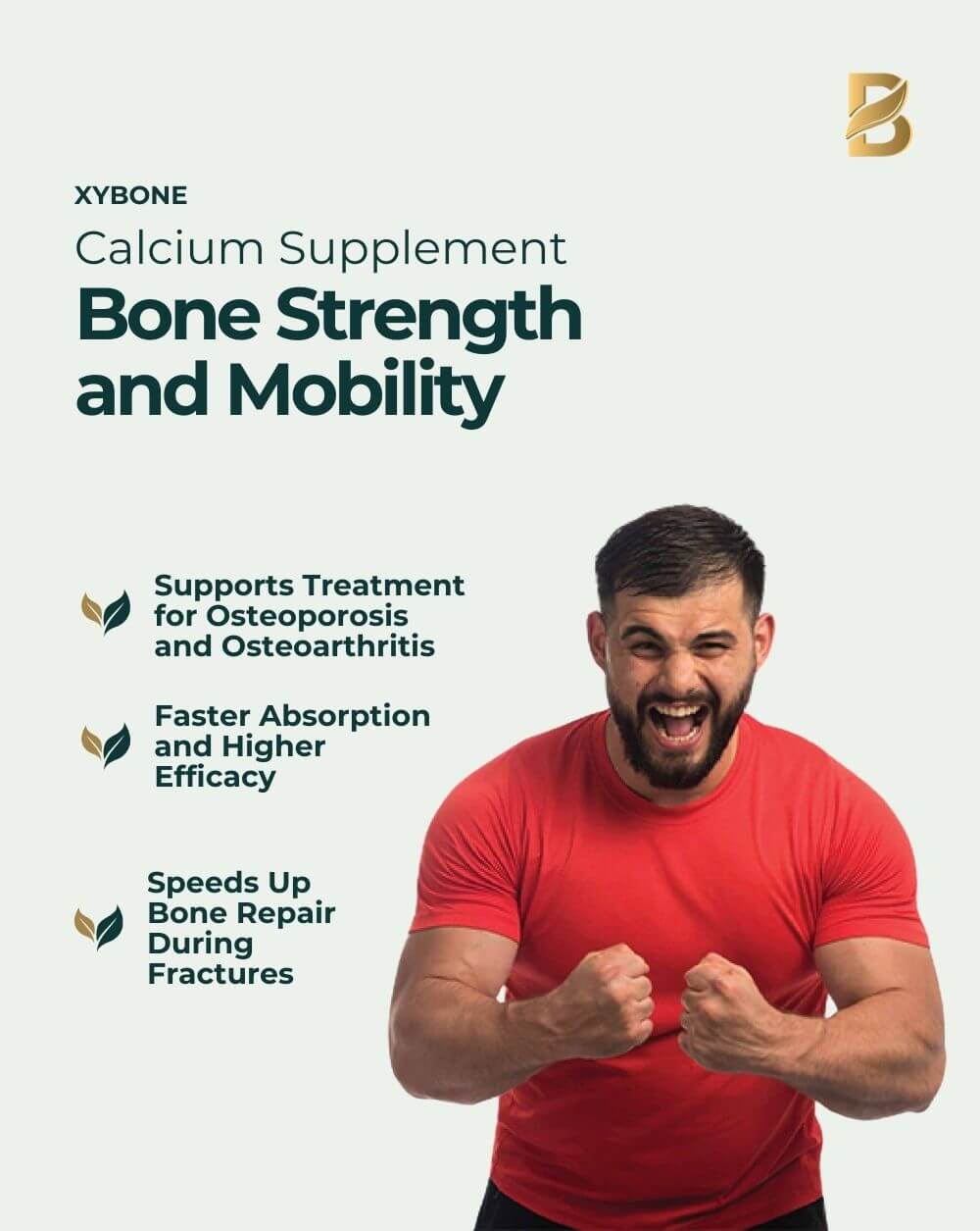 Xybone