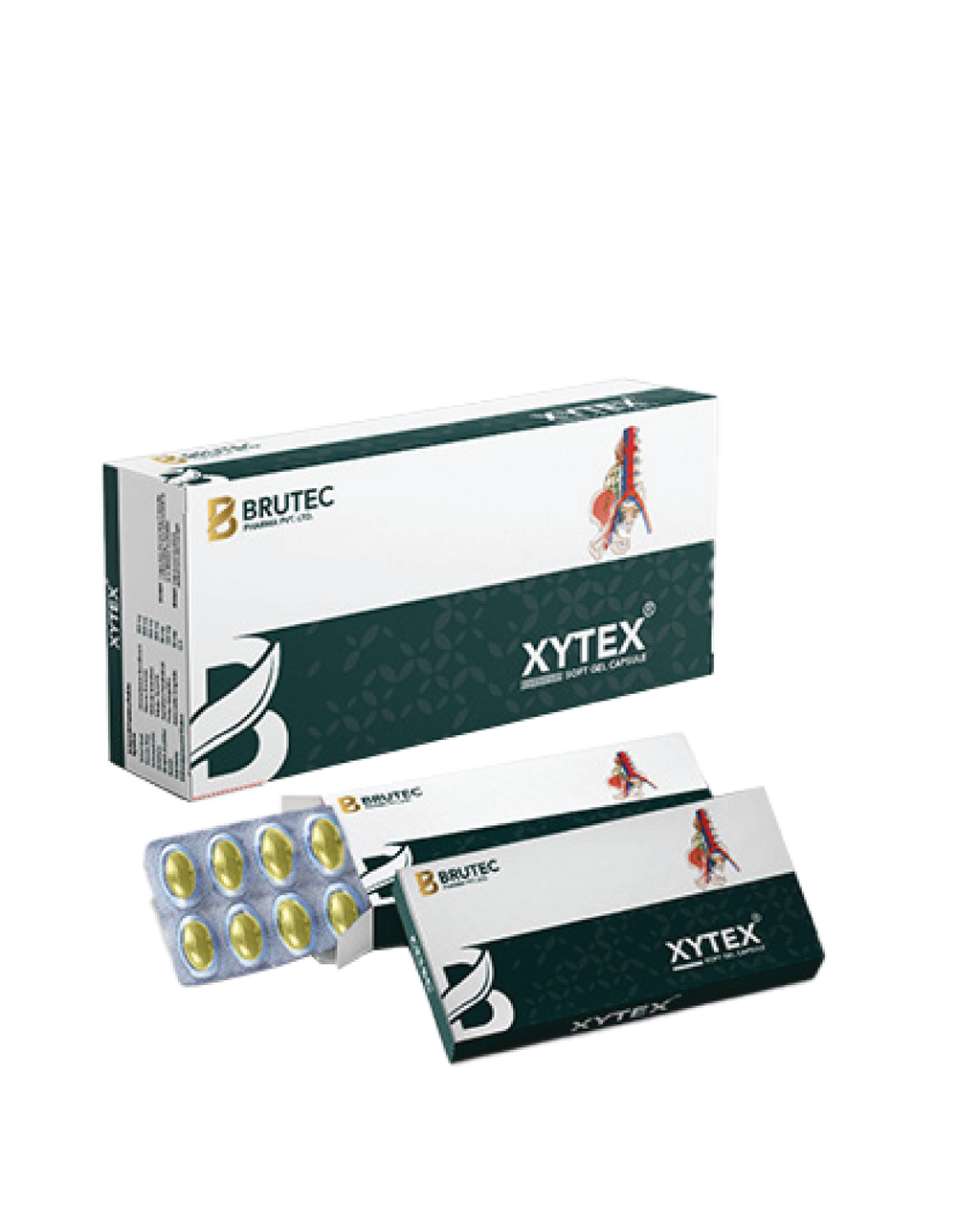 Xytex