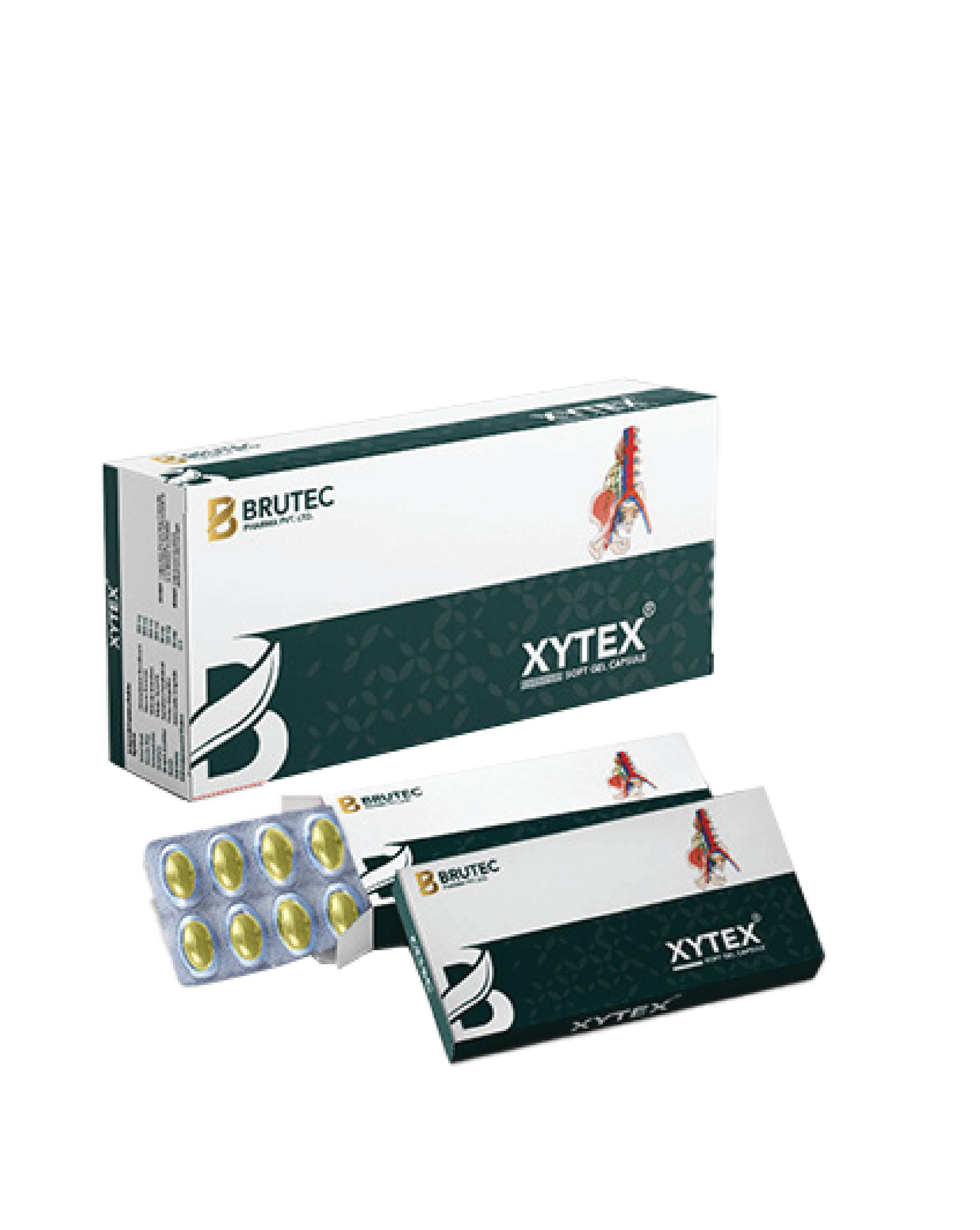 Xytex