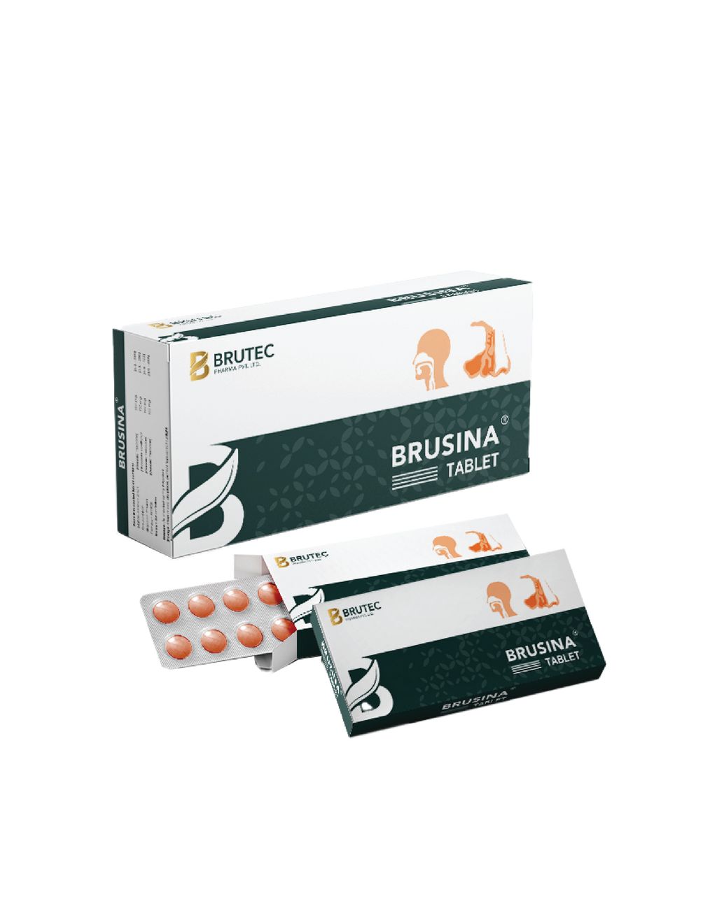 Brusina