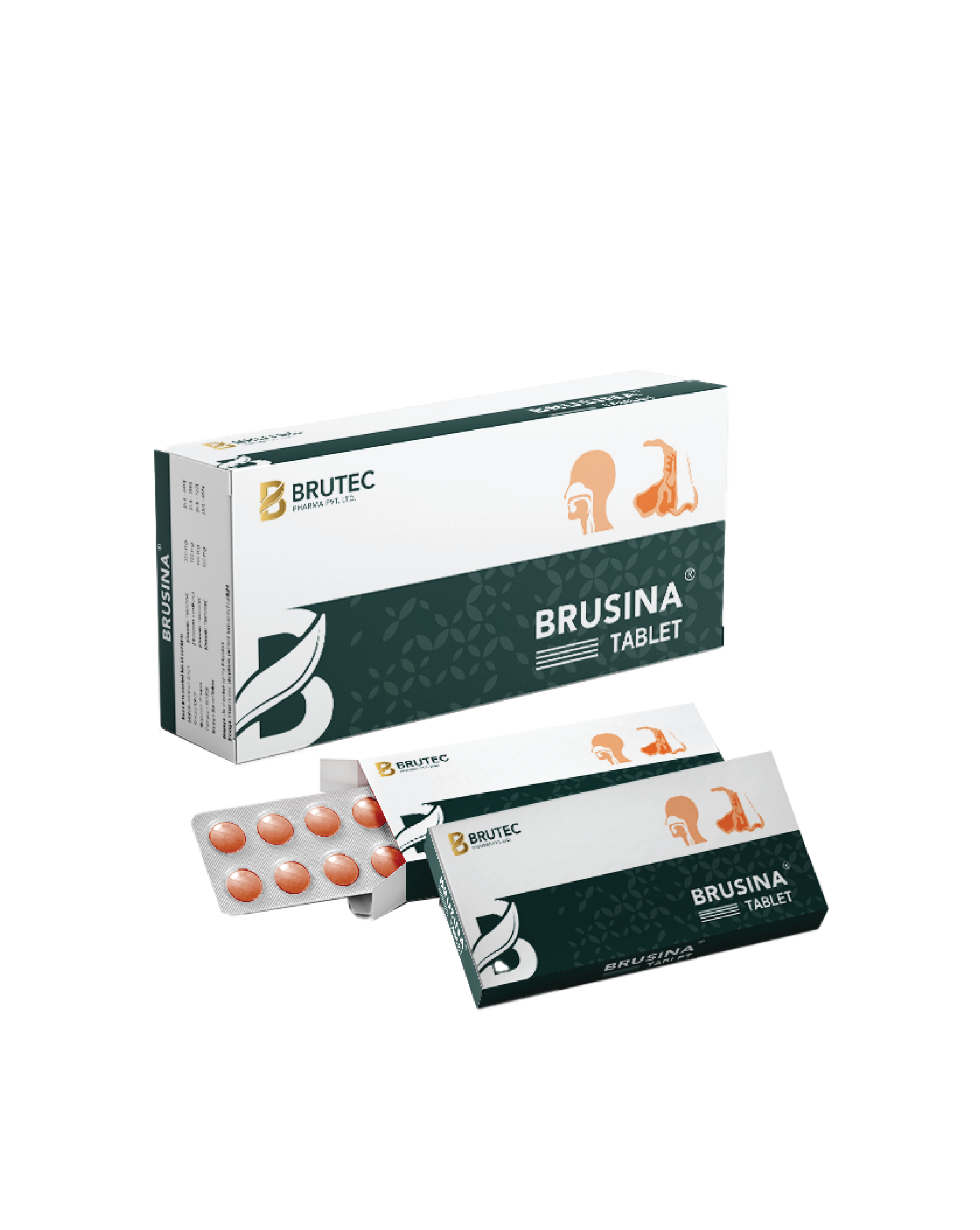 Brusina